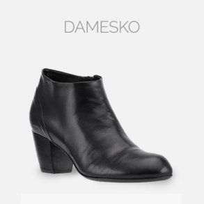 Dame